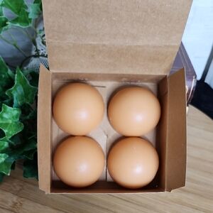 👉*NWT* 4 PARTYLITE "GINGER PUMPKIN" FRAGRANCE AROMA MELTS #Z24401